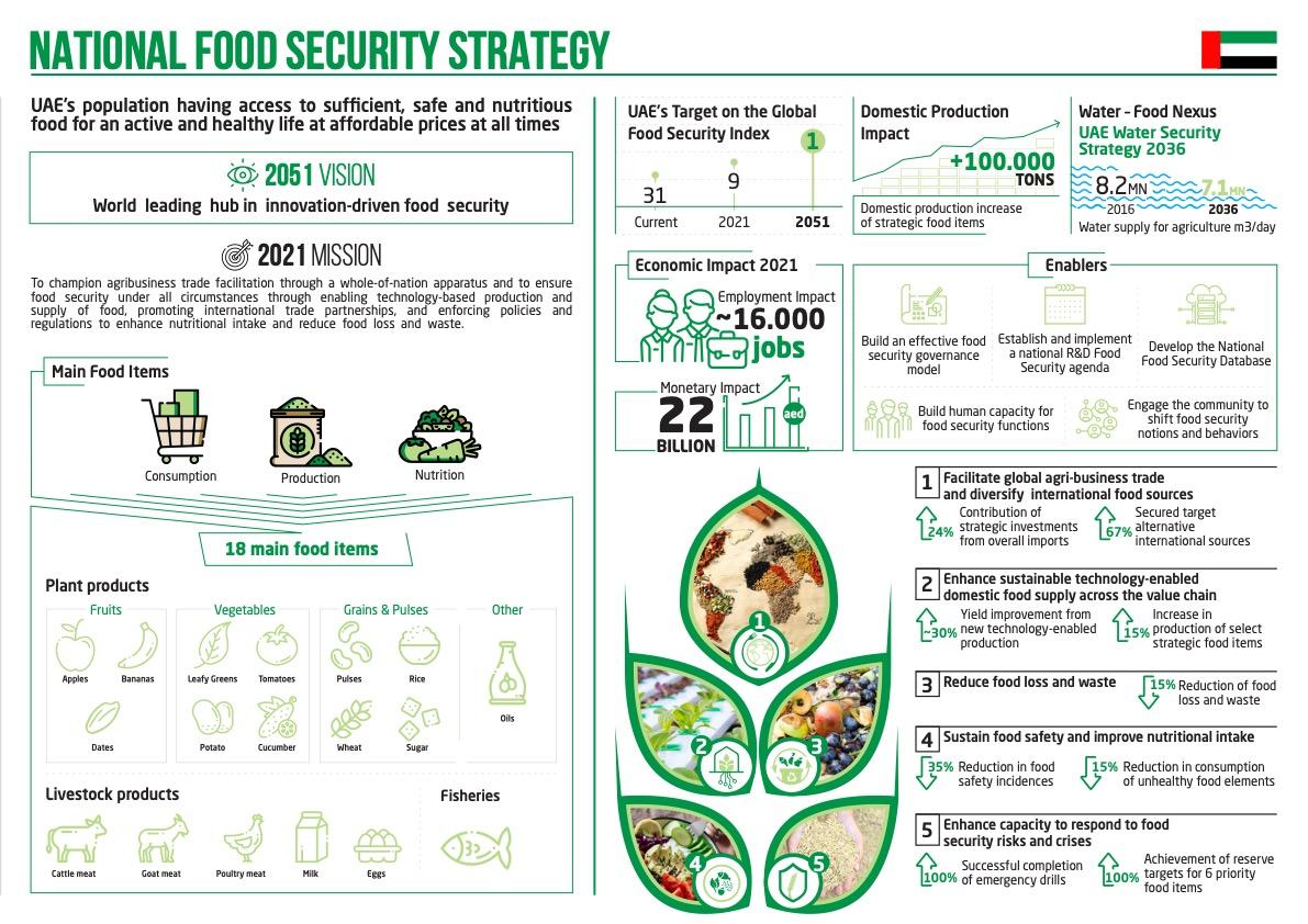 Full copy of the results and expectations flyer for National Strategy 2051 (The UAE Government, "National Food Security Strategy")