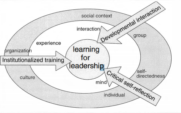 Critical constructivist approach to learned leadership 