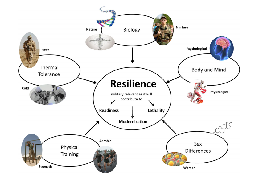 Five key domains of resiliency