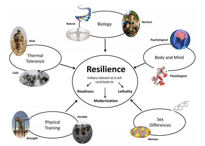 Five key domains of resiliency